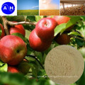 Zymolysis Amino Acid Powder 80% for Organic Fertilizer Organic Agriculture